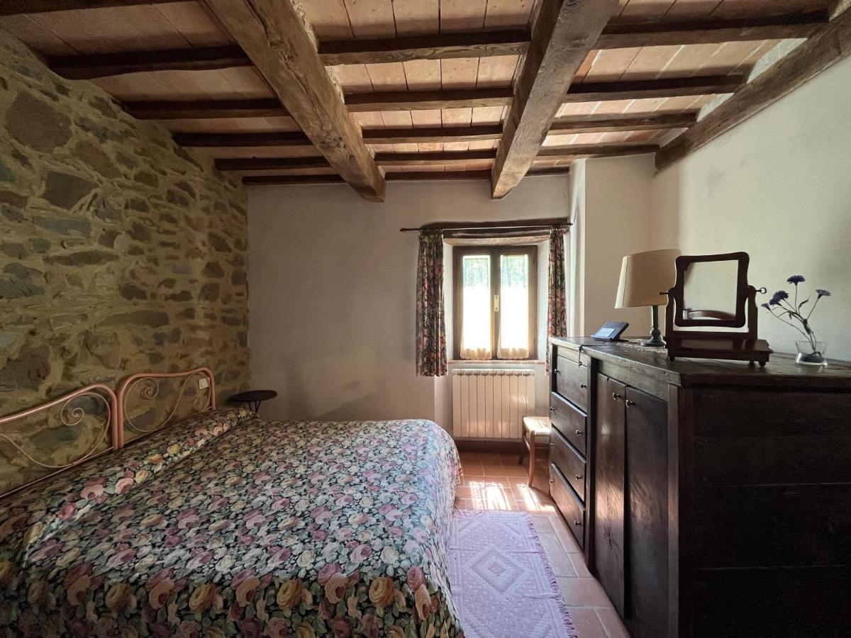 Agriturismo Bio I Rondinelli Villa Arcidosso Esterno foto