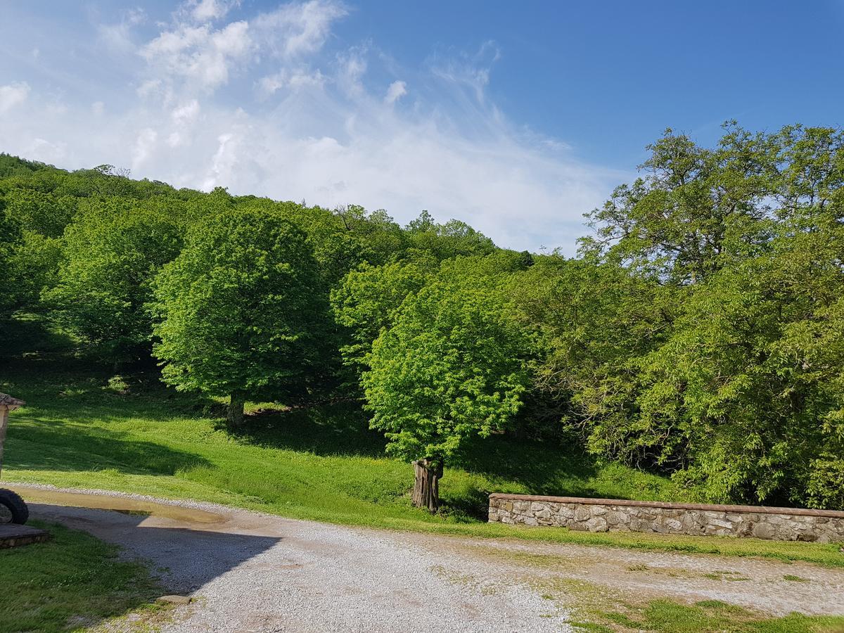 Agriturismo Bio I Rondinelli Villa Arcidosso Esterno foto