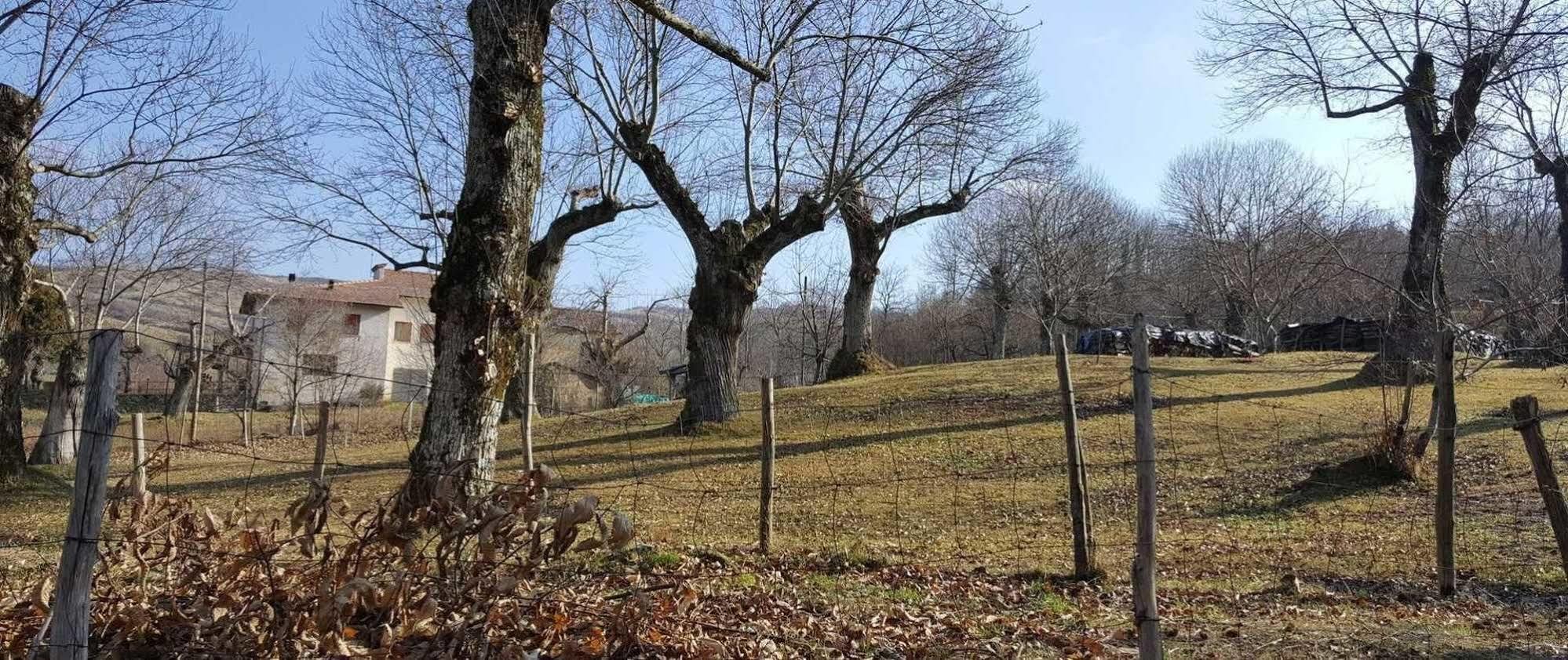 Agriturismo Bio I Rondinelli Villa Arcidosso Esterno foto